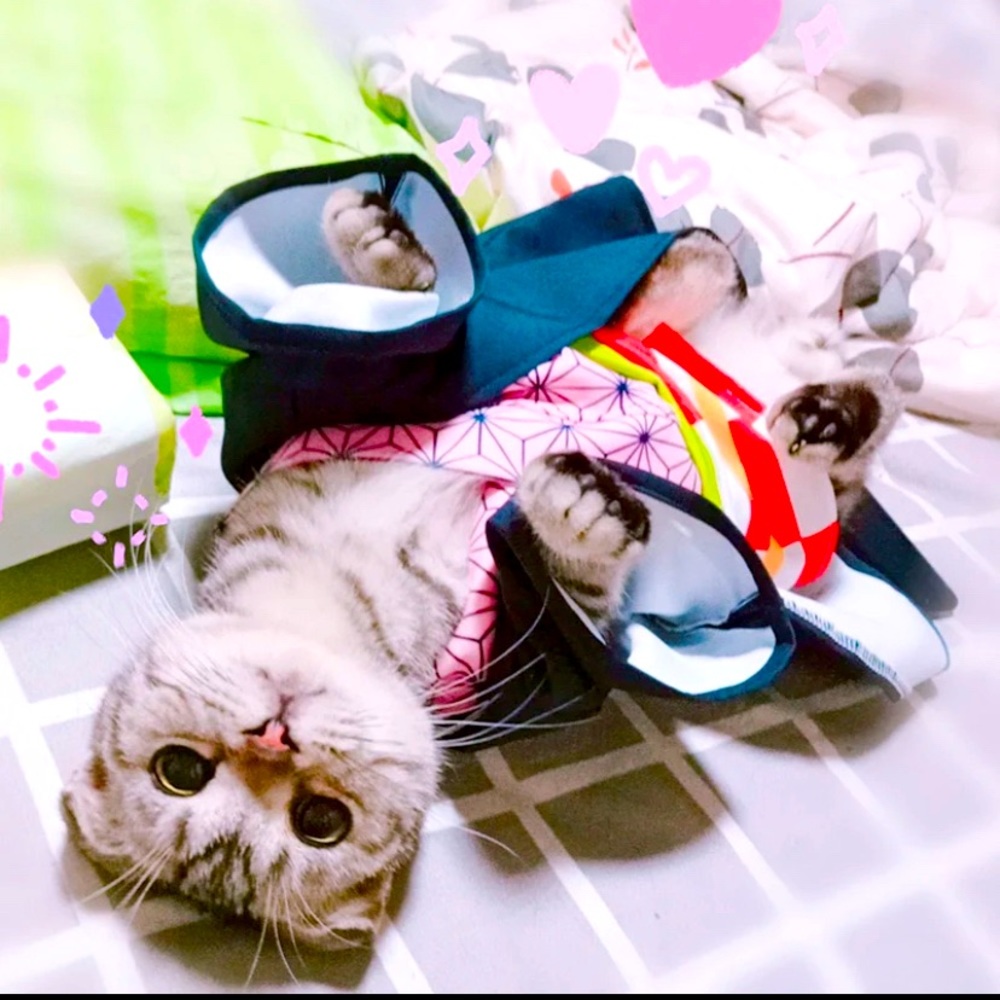 Nezuko Pet Costume for cats and dogs